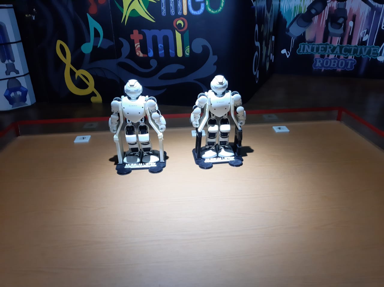 Foto 1